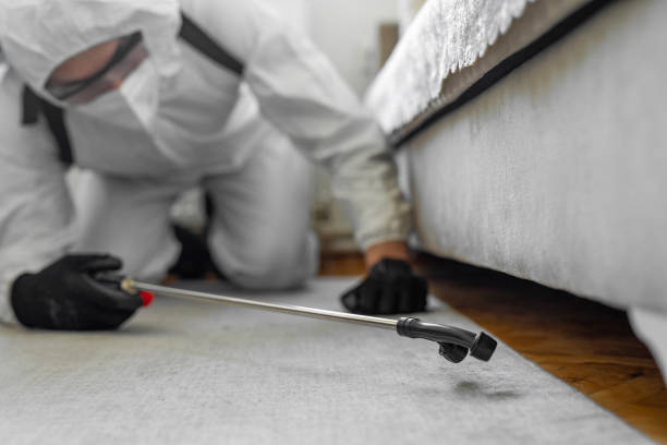 Professional Termite Control technician working in Chehalis, WA