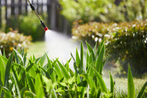 24/7 Emergency Termite Control experts in Chehalis, WA